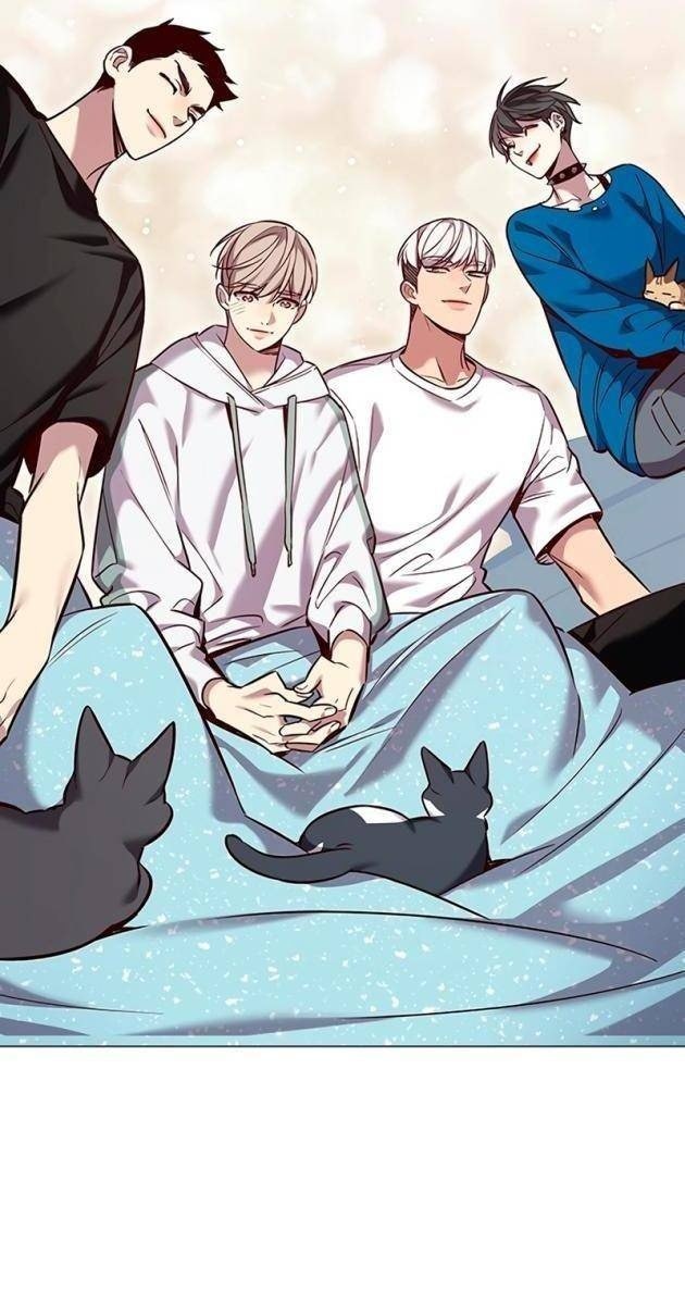 Hoá Thân Thành Mèo - Page 108