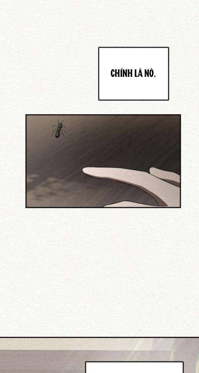 Ta Đây Vô Địch Bất Bại - Page 14