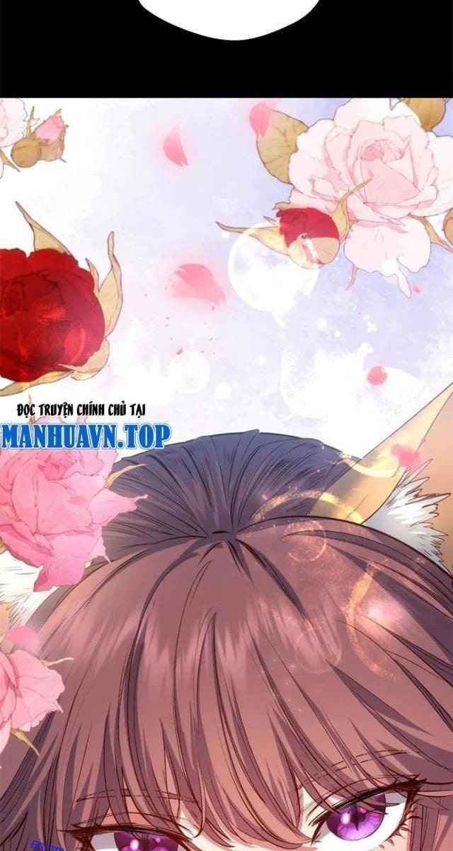 Đỉnh Cấp Khí Vận, Lặng Lẽ Tu Luyện Ngàn Năm - Page 53