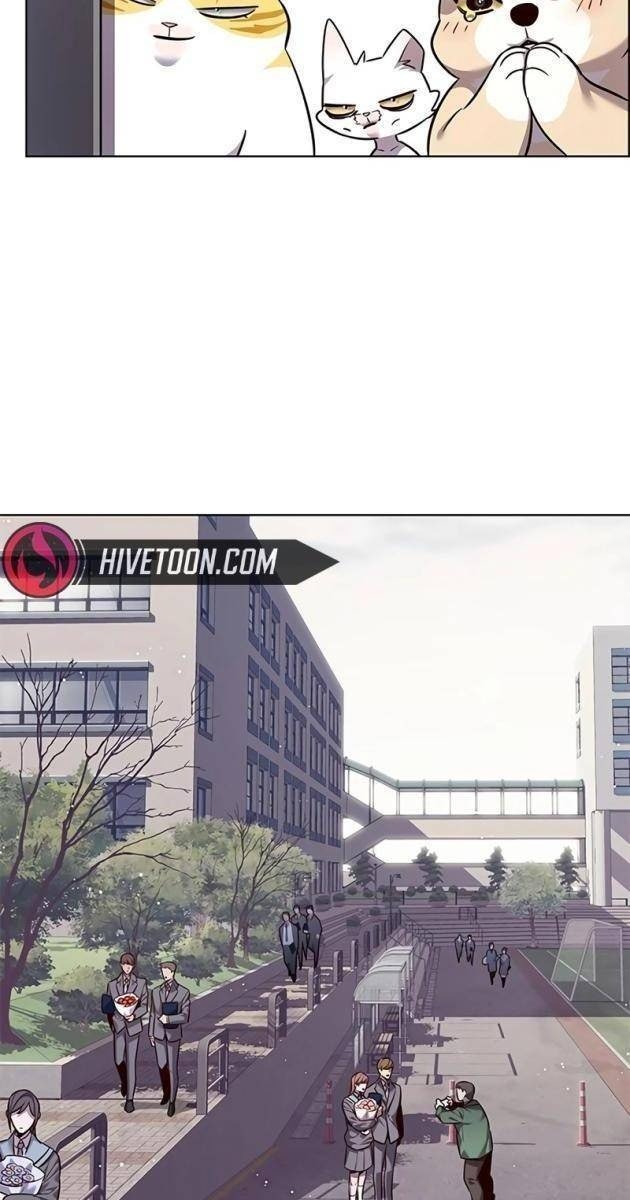 Hoá Thân Thành Mèo - Page 18