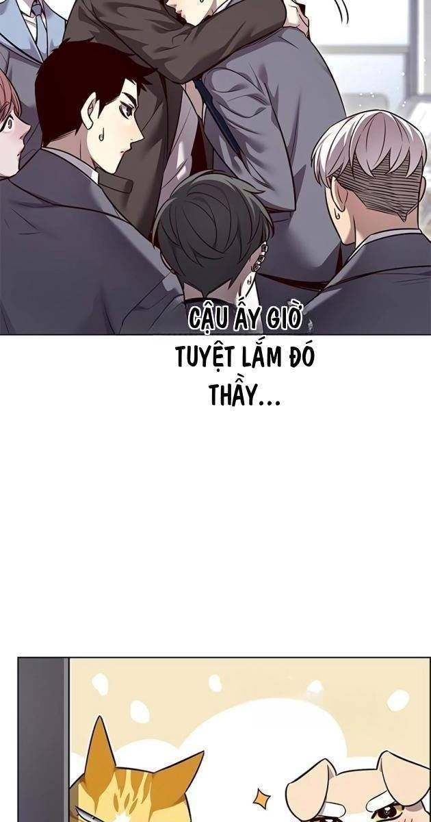 Hoá Thân Thành Mèo - Page 17