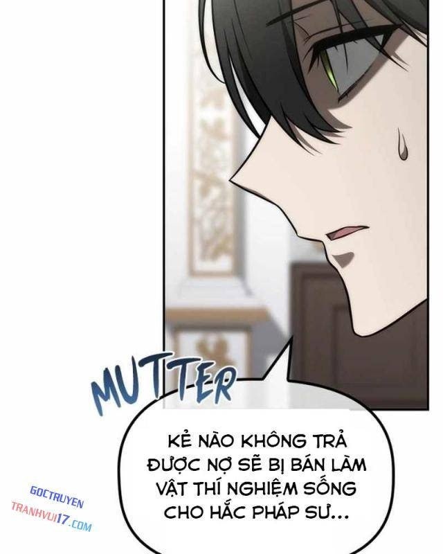 Thiếu Gia Chủ Của Gia Tộc Tử Linh Sư - Page 27