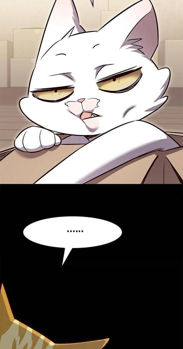 Hoá Thân Thành Mèo - Page 82