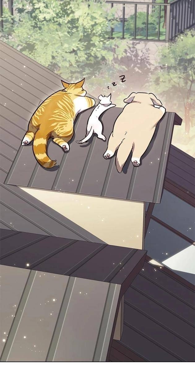 Hoá Thân Thành Mèo - Page 50