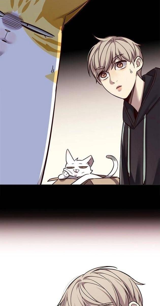 Hoá Thân Thành Mèo - Page 83