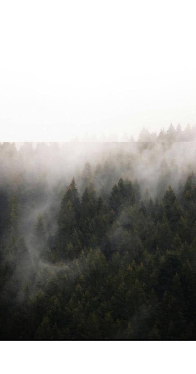 Gặp Mẹ Trong Mơ - Page 20