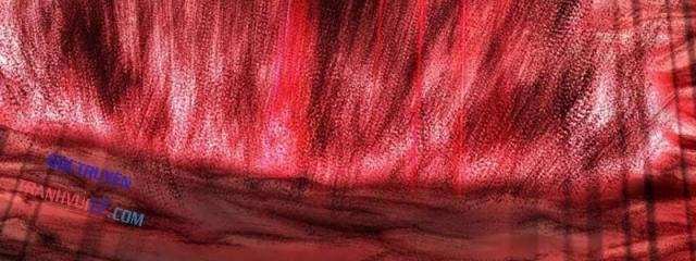 Bàn Tay Thần Thánh - Page 16