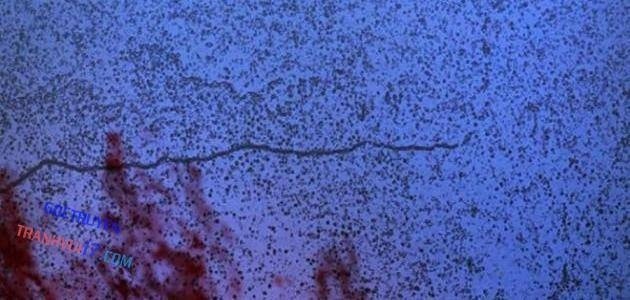 Phòng Gym Hanlim - Page 65