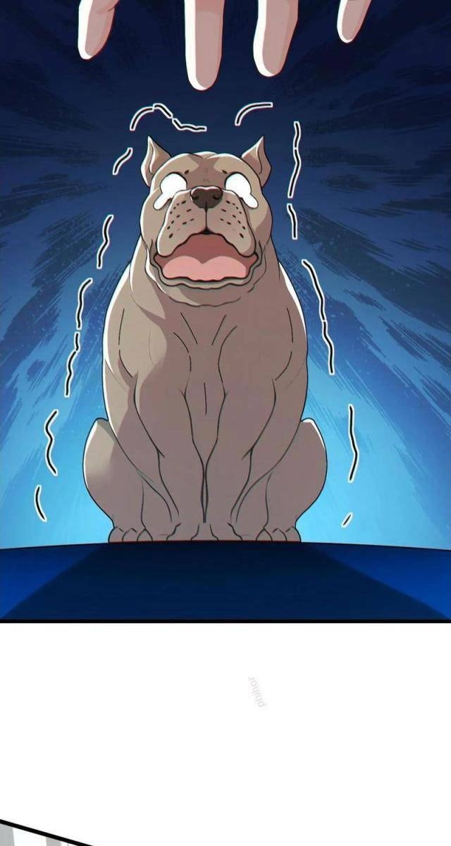 Đại Lão Xuống Núi: Bắt Đầu Từ Trở Thành Nam Thư Ký! - Page 43