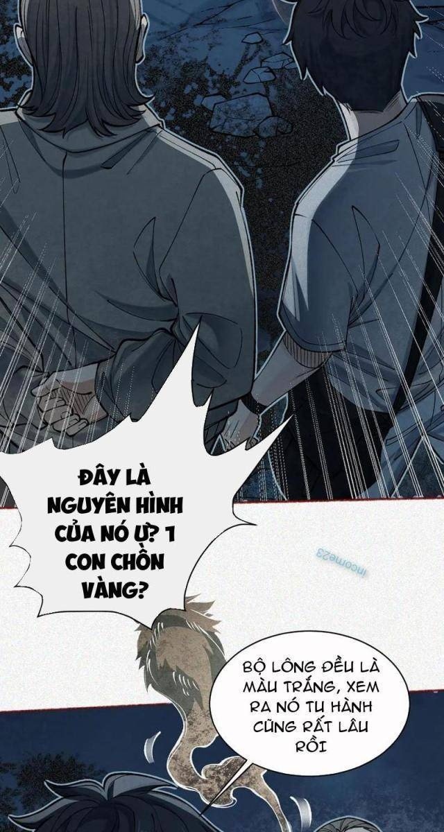 Làm Người Nhặt Xác, Tôi Khởi Đầu Là Giải Phẫu Bạn Gái Cũ! - Page 25