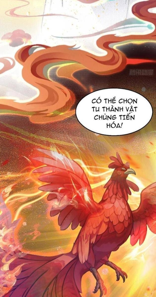 Hóa Ra Ta Sớm Đã Vô Địch - Page 19