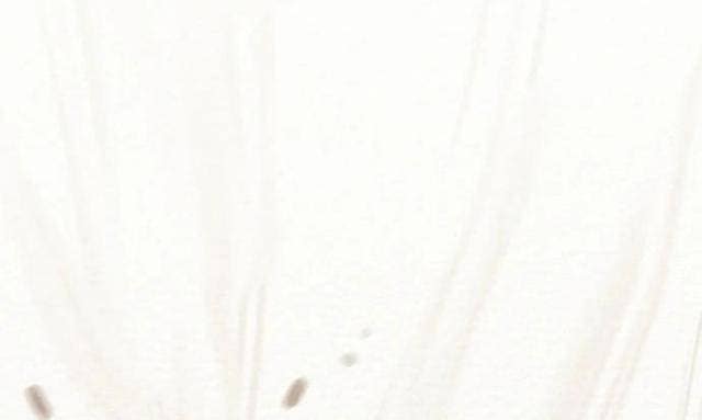 Thiên Quang Minh Nguyệt - Page 165