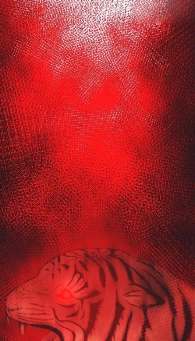 Bố Vạn Năng - Page 8