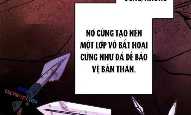 Buff May Mắn - Page 64