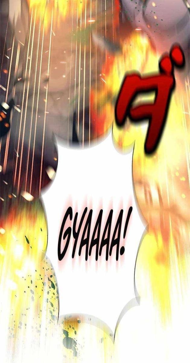 Tôi Là Thợ Săn Cấp Ex - Page 52