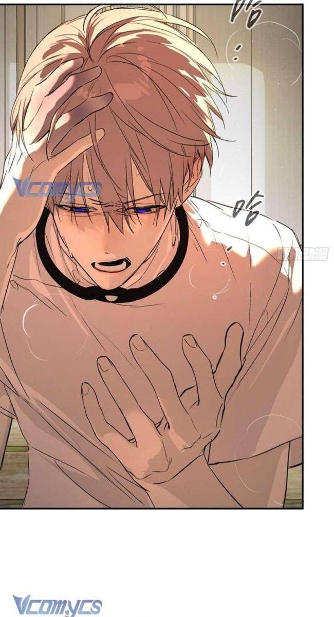 Ác Chi Hoàn - Page 114