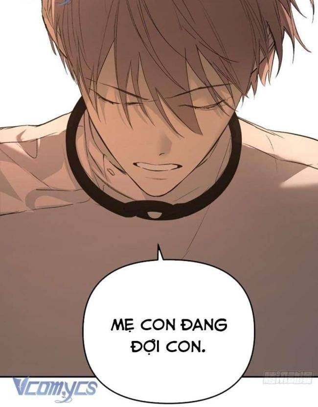 Ác Chi Hoàn - Page 37