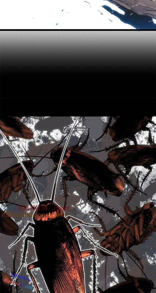 Đỉnh Cấp Khí Vận, Lặng Lẽ Tu Luyện Ngàn Năm - Page 11