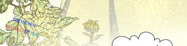 Đỉnh Cấp Khí Vận, Lặng Lẽ Tu Luyện Ngàn Năm - Page 30