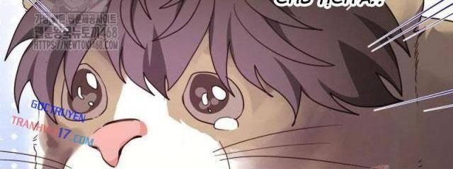 Studio Tùy Hứng Của Nghệ Sĩ Thiên Tài - Page 12