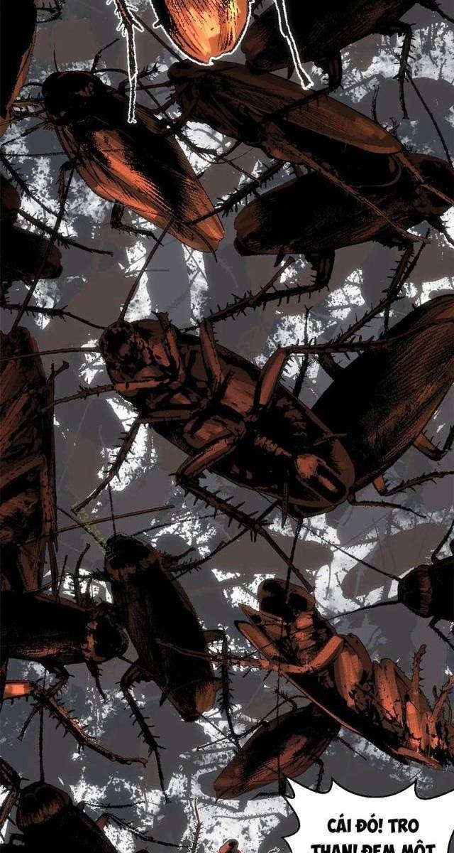 Đỉnh Cấp Khí Vận, Lặng Lẽ Tu Luyện Ngàn Năm - Page 13