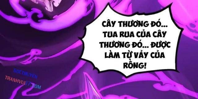 Ta Dựa Vào Nhặt Rác Trở Thành Vương Giả - Page 61