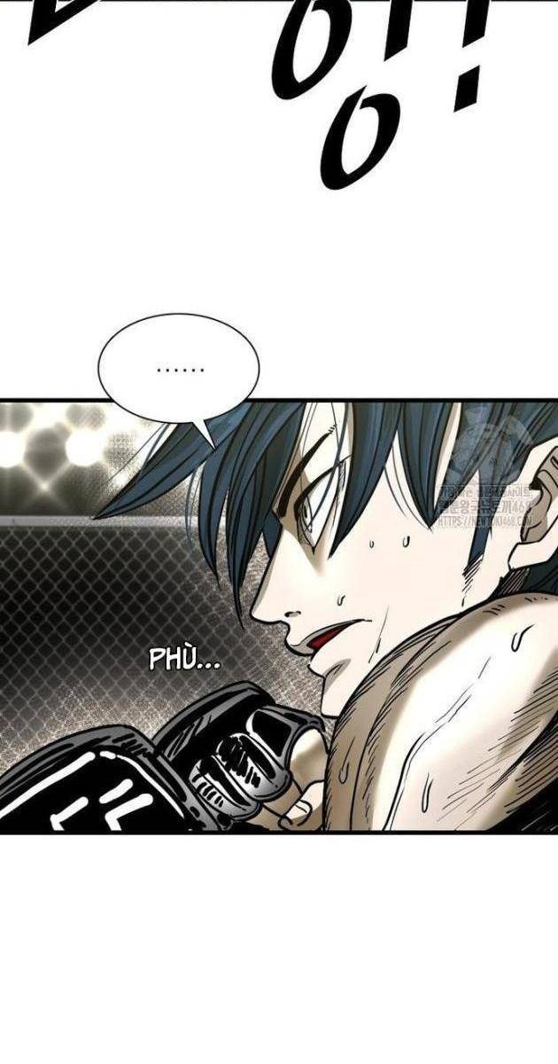 Shark - Cá Mập - Page 16