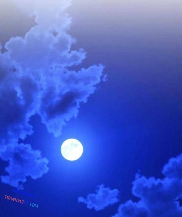 Quỷ Kiếm Thiên Tài Của Hoa Sơn Phái - Page 48