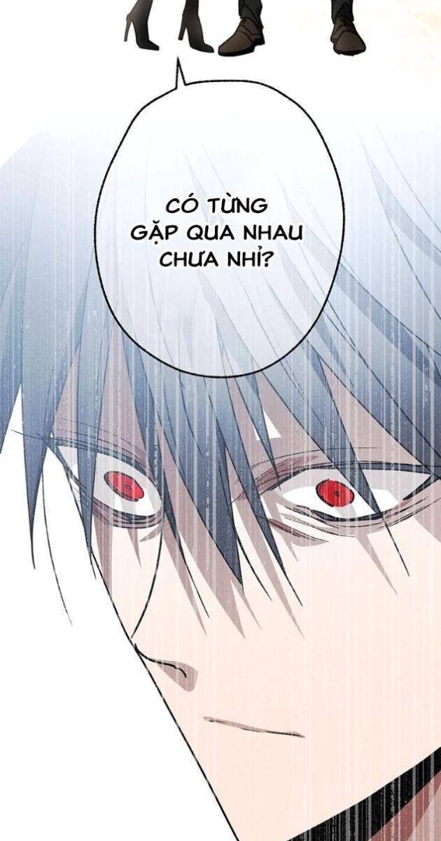 Quý Tộc Báo Thù - Page 31