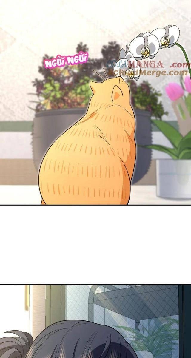 Bà Xã Nhà Tôi Đến Từ Ngàn Năm Trước - Page 31