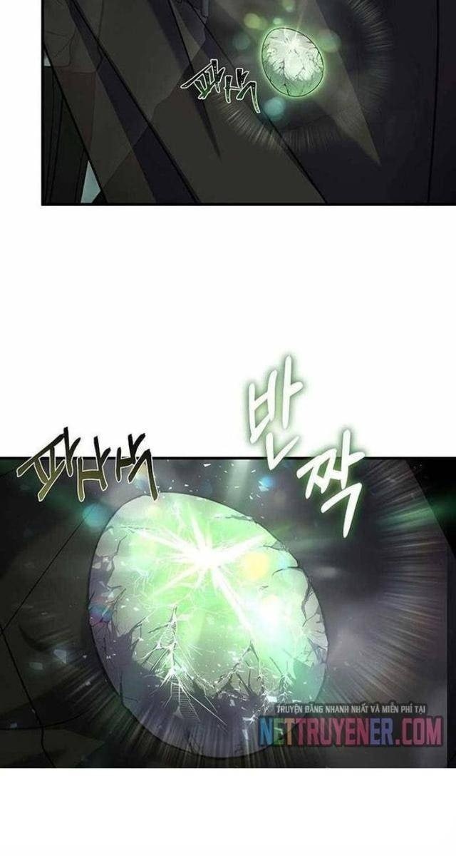 Sự Trở Lại Của Đại Pháp Sư - Page 12