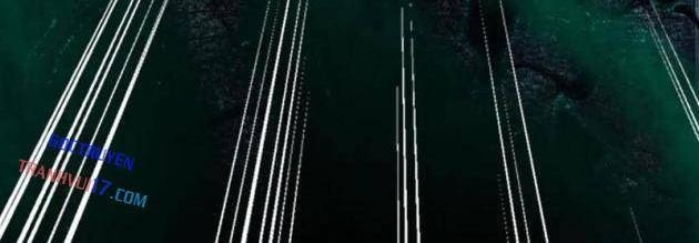 Cương Thi Tiên Sinh - Page 33