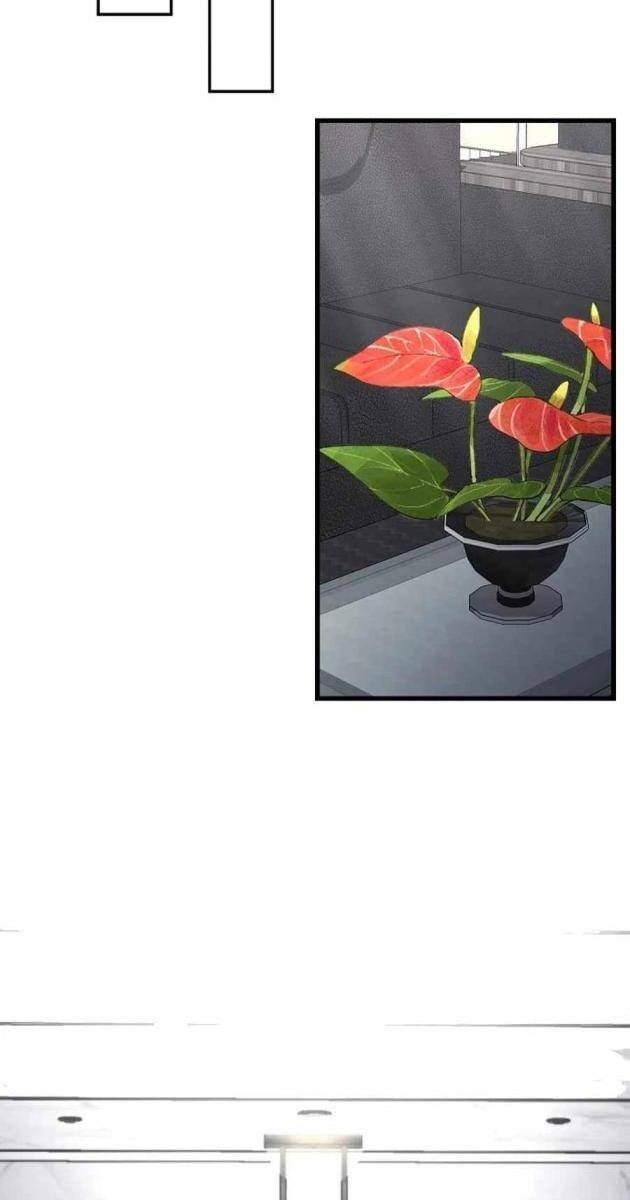 Cách Một Tử Linh Sư Cấp Thảm Họa Nghỉ Hưu - Page 46