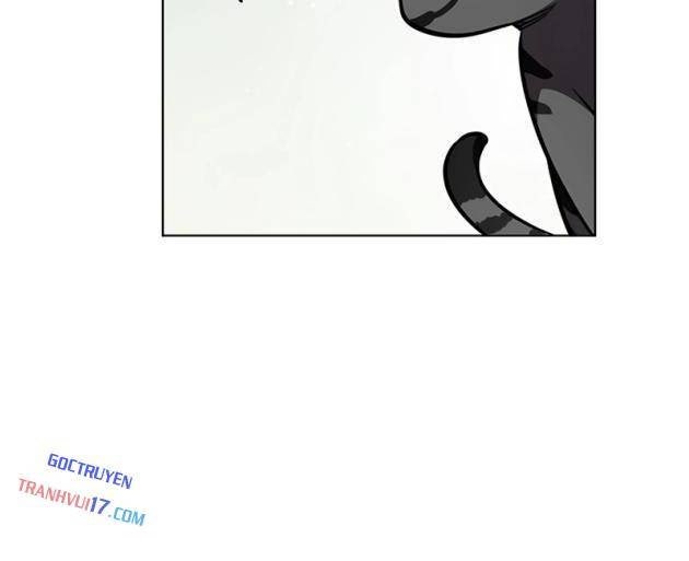 Hoá Thân Thành Mèo - Page 17