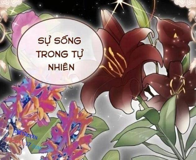 Đăng ký Kênh Siêu Phàm - Page 68