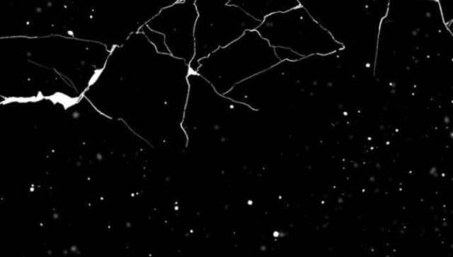 Kẻ Giết Anh Hùng - Page 11