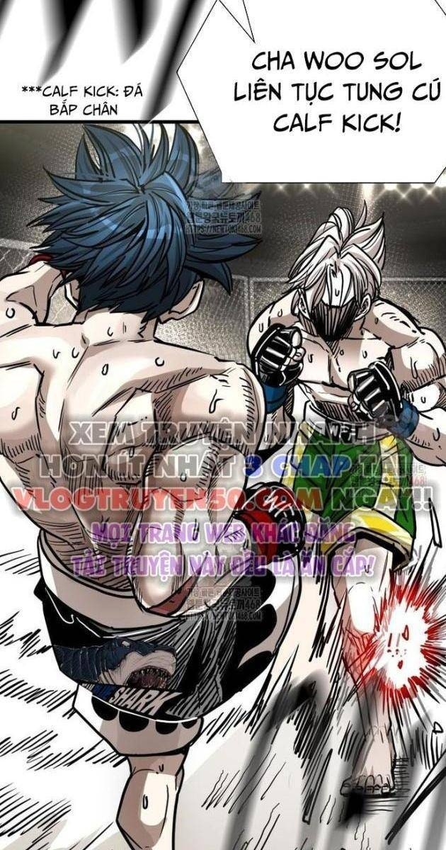 Shark - Cá Mập - Page 16