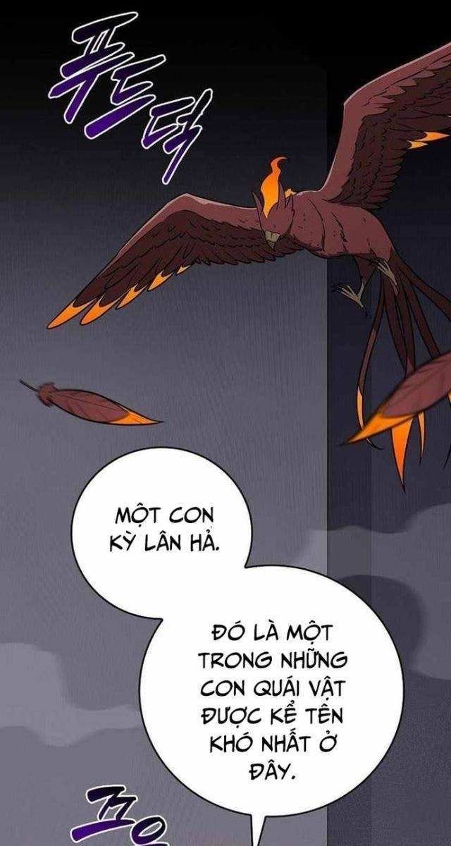 Streamer Pháp Sư - Page 13