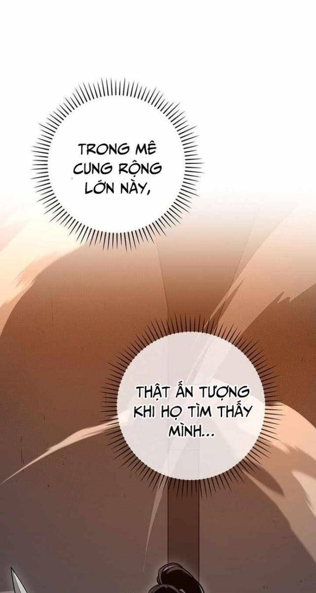 Streamer Pháp Sư - Page 5