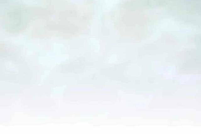 Thợ Săn Chơi Thuốc - Page 91