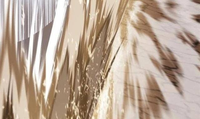 Tôi Là Người Chơi Leo Tháp Một Mình - Page 114