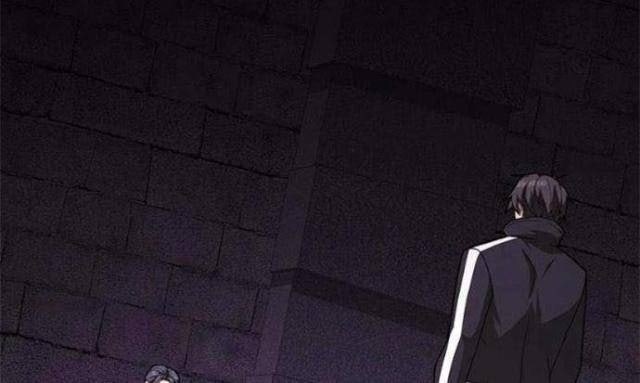 Tôi Là Người Chơi Leo Tháp Một Mình - Page 27