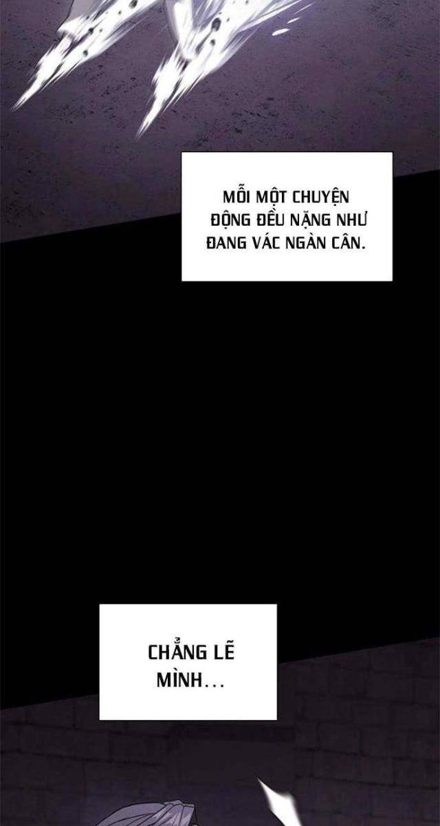 Tôi Là Người Chơi Leo Tháp Một Mình - Page 23