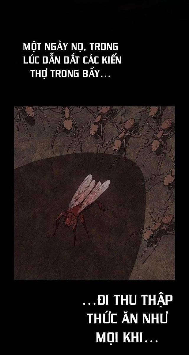 Tôi Là Người Chơi Leo Tháp Một Mình - Page 65