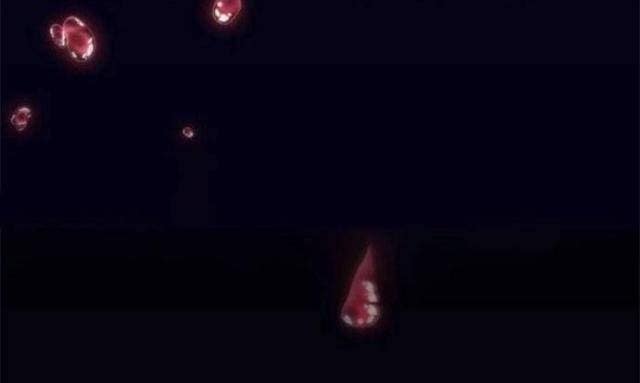 Tôi Là Người Chơi Leo Tháp Một Mình - Page 126