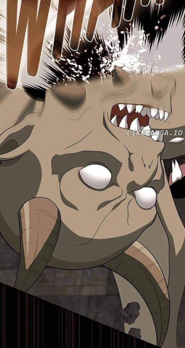 Tôi Là Người Chơi Leo Tháp Một Mình - Page 13