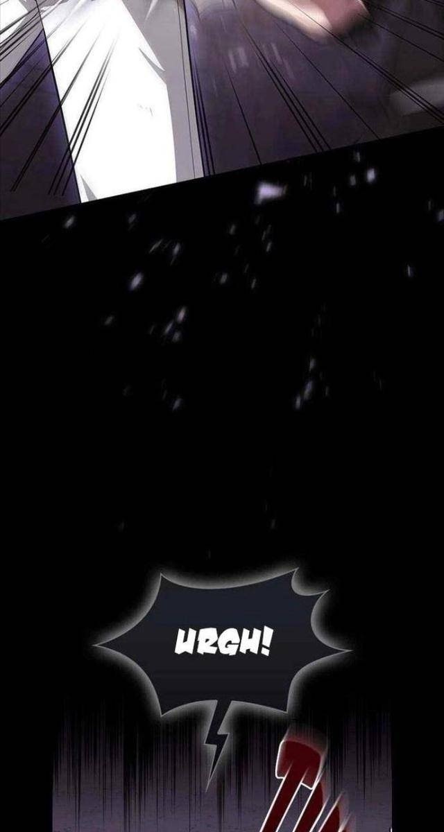 Tôi Là Người Chơi Leo Tháp Một Mình - Page 19