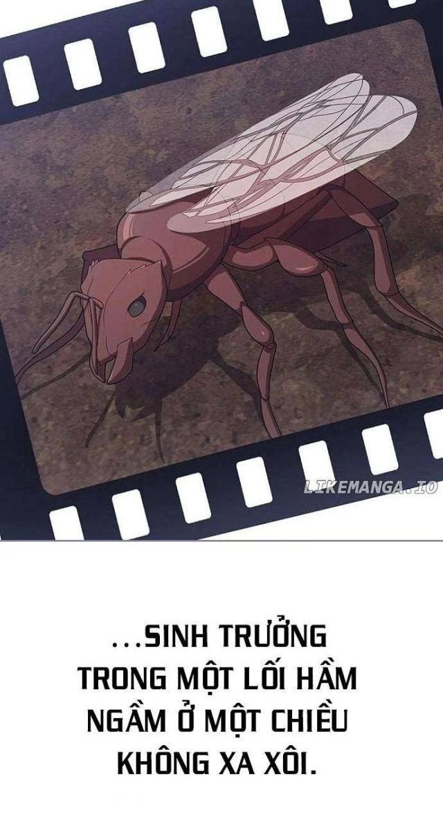 Tôi Là Người Chơi Leo Tháp Một Mình - Page 58