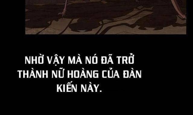 Tôi Là Người Chơi Leo Tháp Một Mình - Page 63