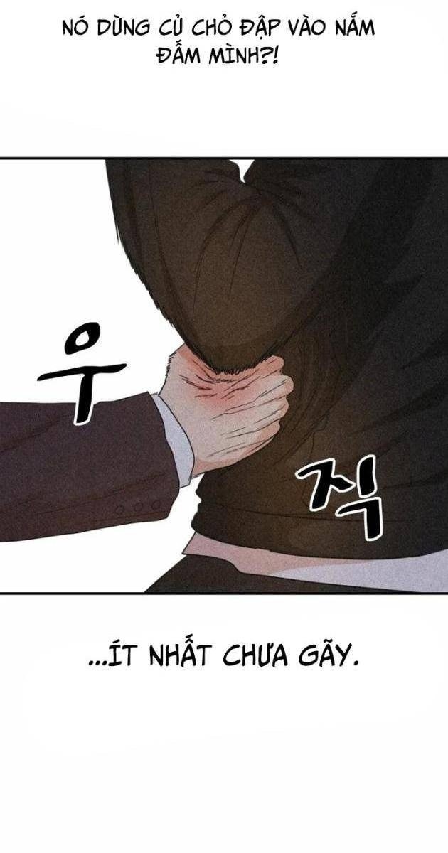 Bạn Trai Vệ Sĩ - Page 52